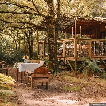 Кемпинг Domaine Chantoiseau *