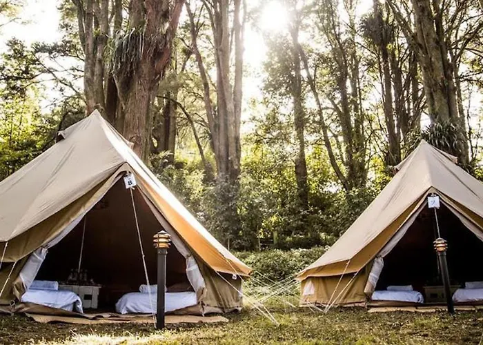 Camping Domaine Chantoiseau Saint-Pierre-des-Echaubrognes