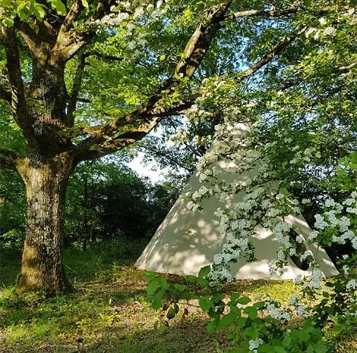 Domaine Chantoiseau Camping